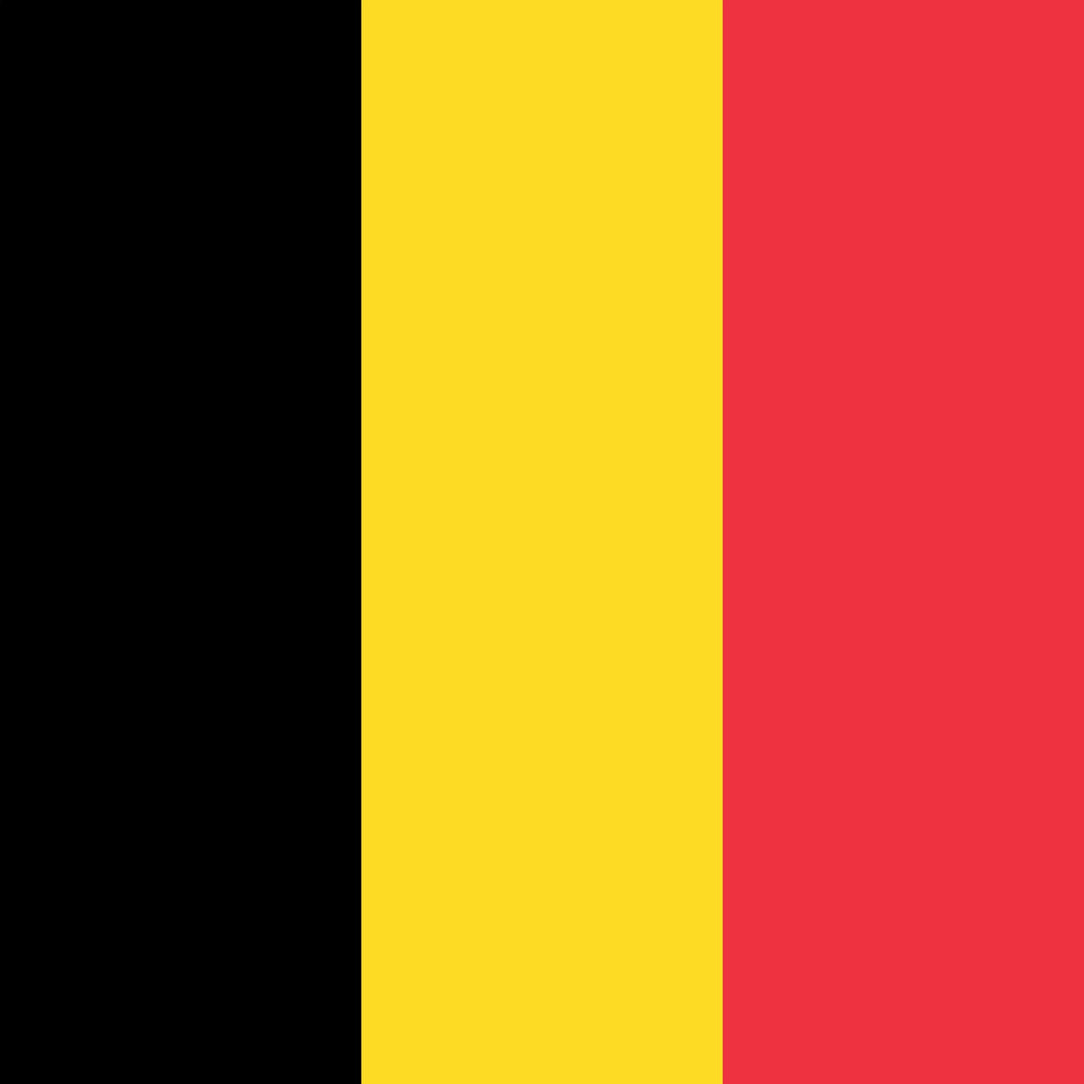 Flag Charm Silver